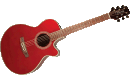 Takamine EG260C WR