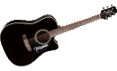 Takamine EG321C