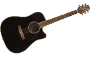 Takamine EG361SC