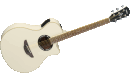 YAMAHA APX 500II VW