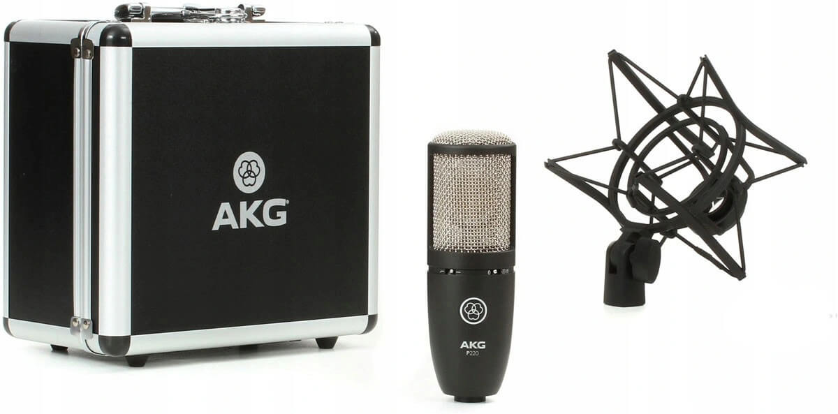 AKG P220