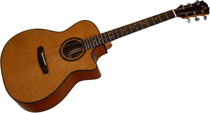 Gitara elektroakustyczna Dowina Rustica GACE