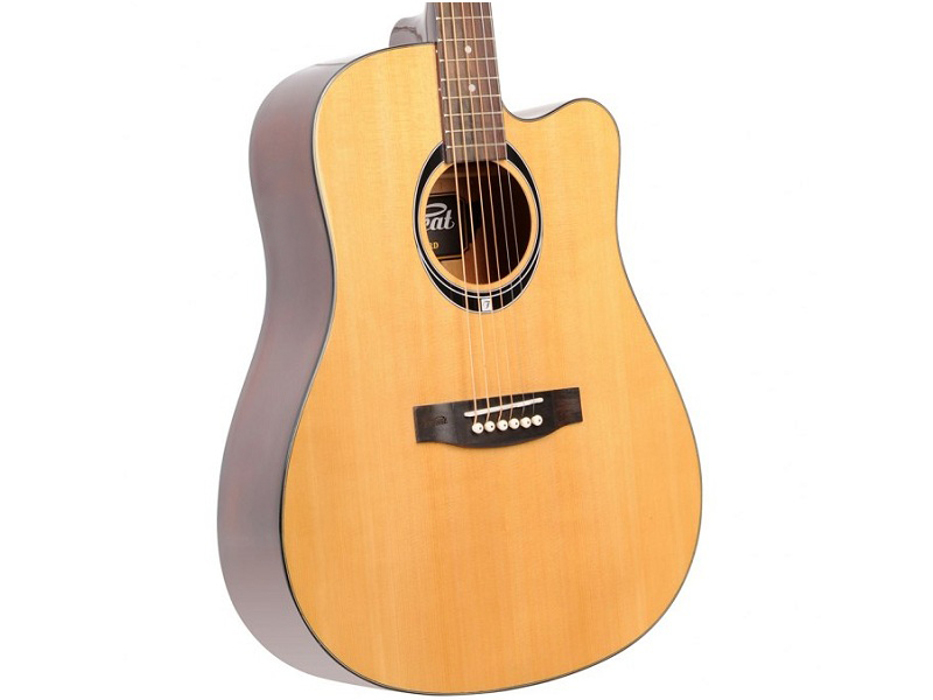 Flycat C100 NT - miniatura