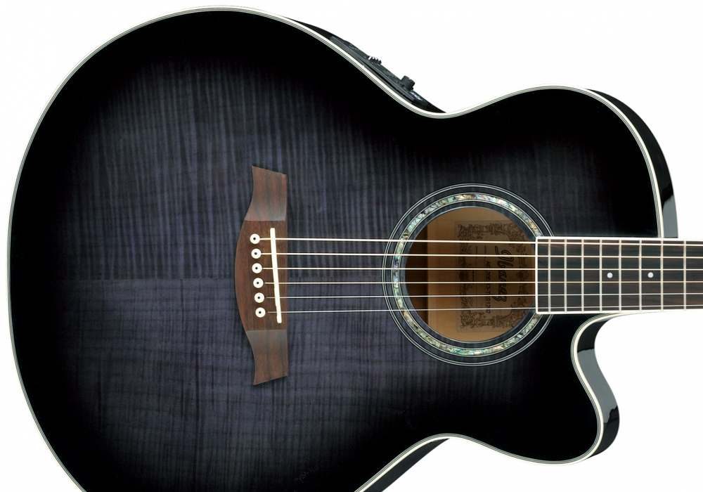 Ibanez AEL20E TKS - miniatura