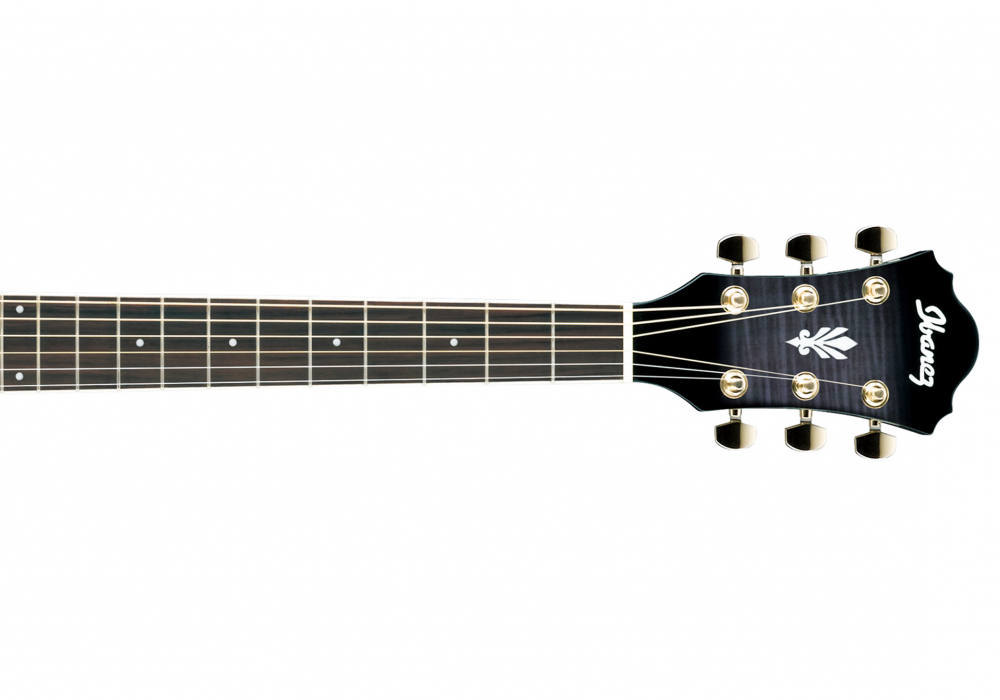 Ibanez AEL20E TKS - miniatura