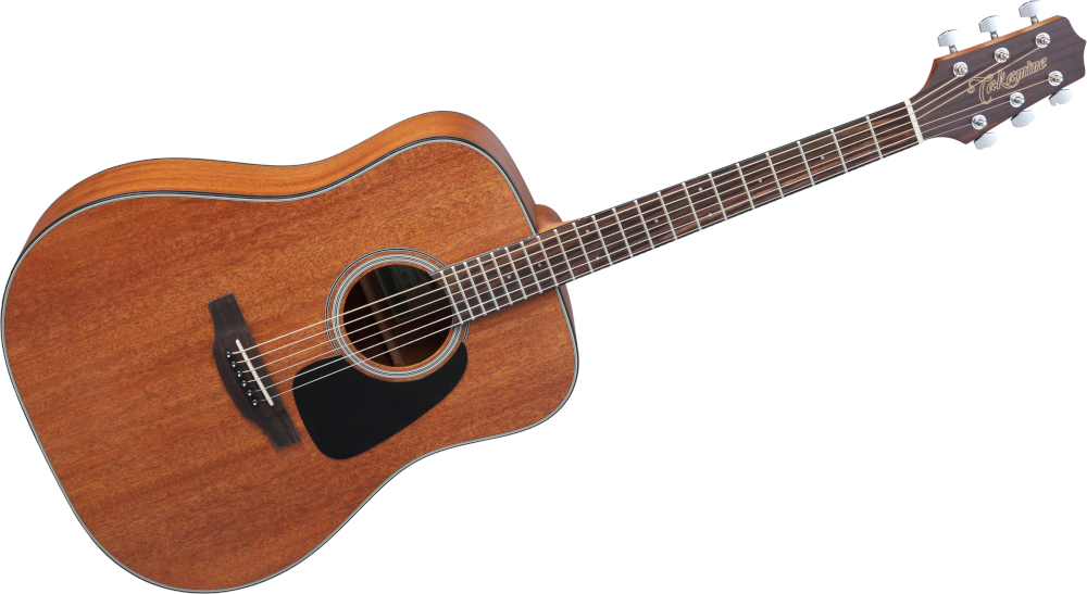 Takamine GD11M-NS