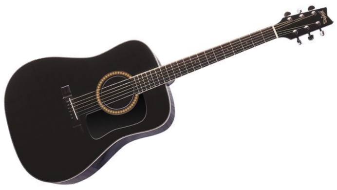 Washburn D 10S B