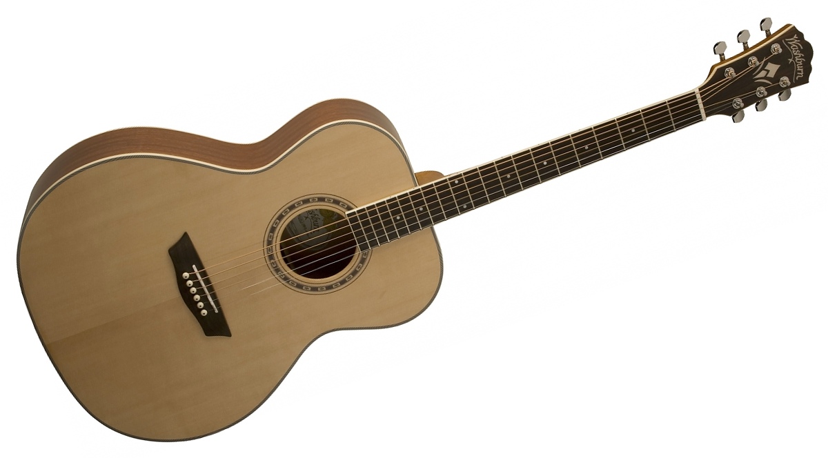 Washburn WF 10S N