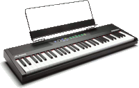 Pianino cyfrowe ALESIS Recital 61