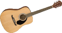 Fender FA-125 NAT