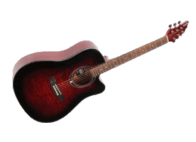 Flycat C100 TRD