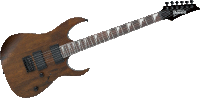 Gitara elektryczna Ibanez GRG121DX WNF