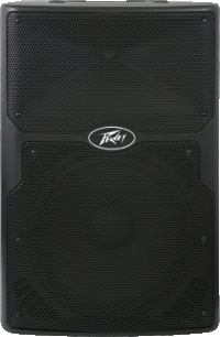 PEAVEY PVX12
