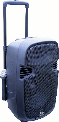 Zestaw nagłośnieniowy RH Sound PP-2112AUS-CB