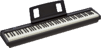 Pianino cyfrowe Roland FP-10 BK /Przenośne