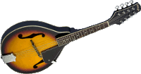 Stagg M20