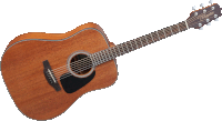 Takamine GD11M-NS