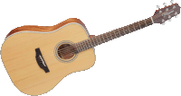 Takamine GD20-NS