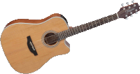 Takamine GD20CE-NS
