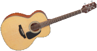 Takamine GN10-NS