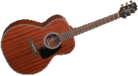 Takamine GN11M-NS