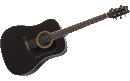 Washburn D 10S B