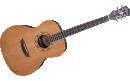 Washburn WG 026S N
