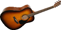 YAMAHA F 310 TBS