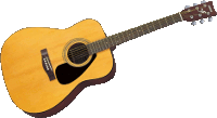 YAMAHA F 310 NAT