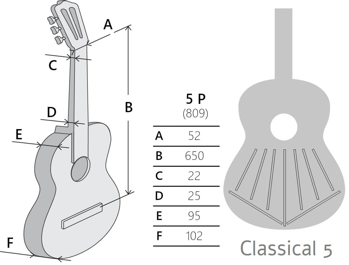Gitara klasyczna Alhambra 5P - miniatura