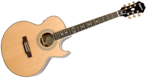 Gitara elektroakustyczna Epiphone Performer PR-5E NA