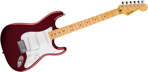 Gitara elektryczna Fender Standard Stratocaster MN WPG CND