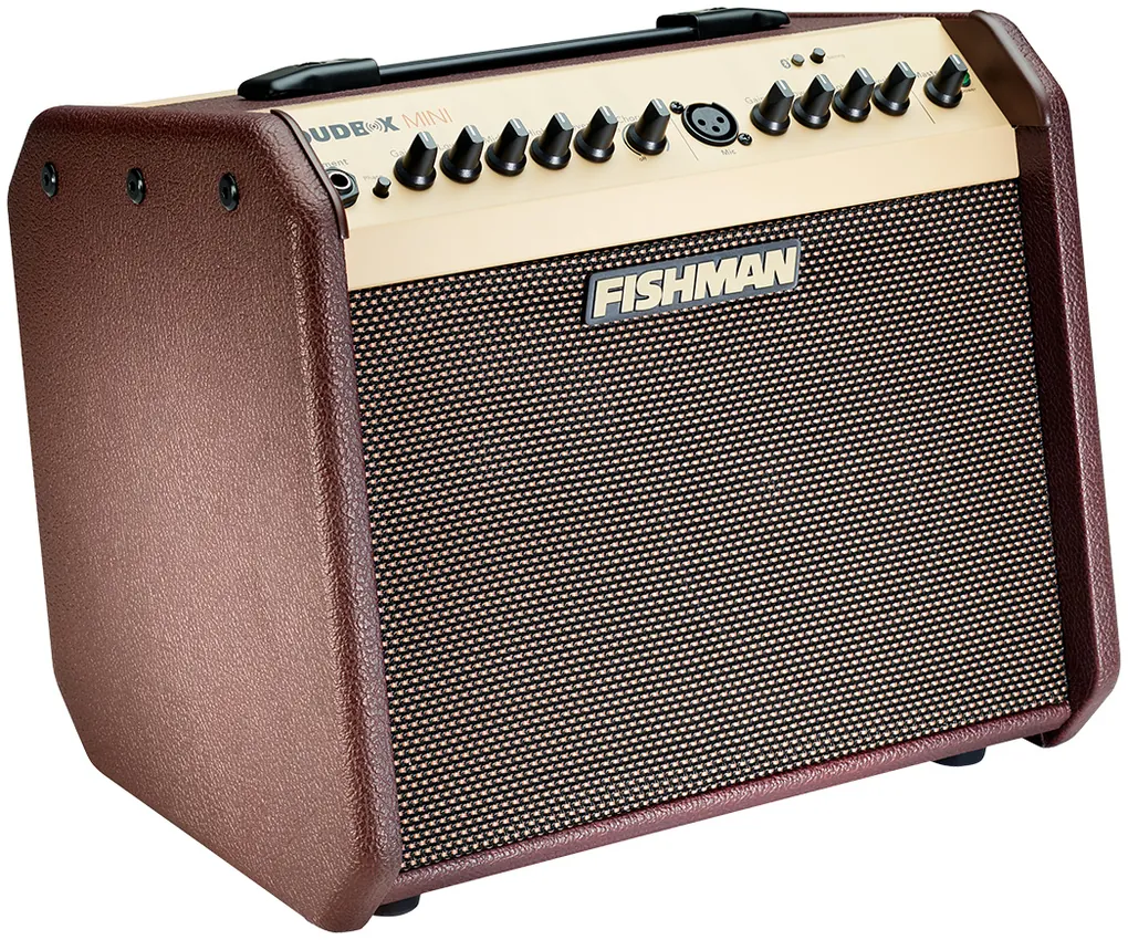 Wzmacniacz akustyczny FISHMAN LoudBox Mini Bluetooth - miniatura