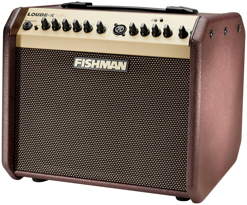 Wzmacniacz akustyczny FISHMAN LoudBox Mini Bluetooth - miniatura
