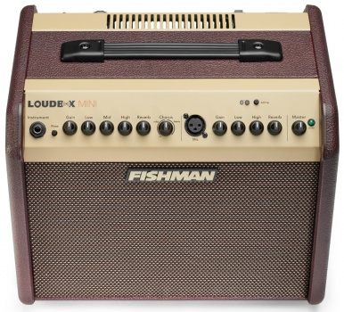 FISHMAN LoudBox Mini Bluetooth - miniatura
