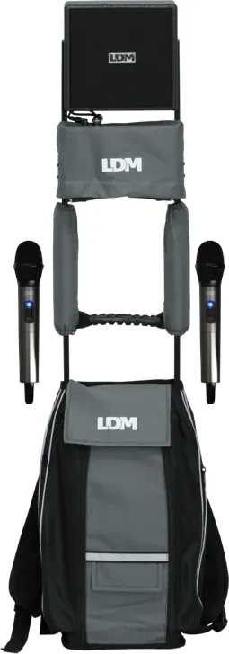 Zestaw nagłośnieniowy LDM Electronic MobileSys/D216 /Pielgrzymkowy