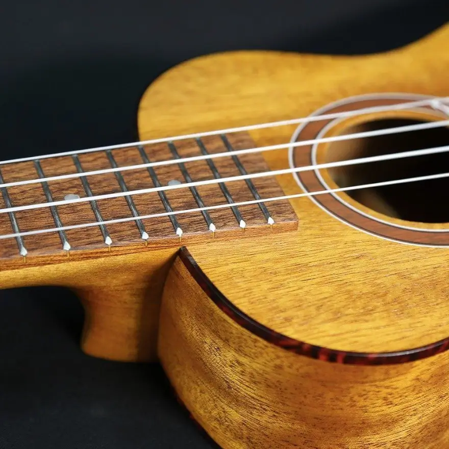 Ukulele koncertowe PUKA PK-PHC - miniatura