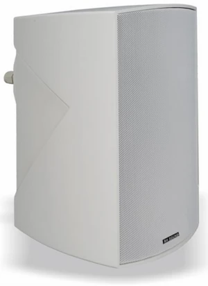 Kolumna radiowęzłowa RH Sound DN-5T /Głośnik 100V