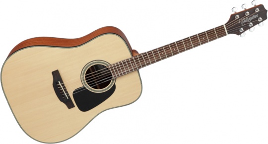 Takamine GD10-NS