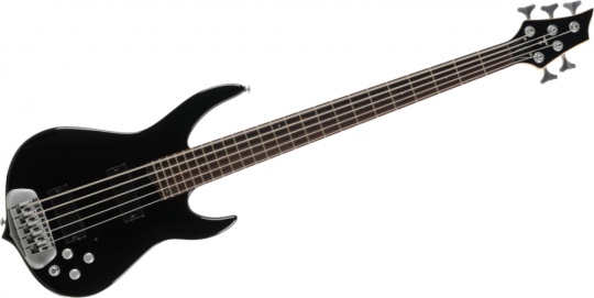 Traben Standard 5 BK